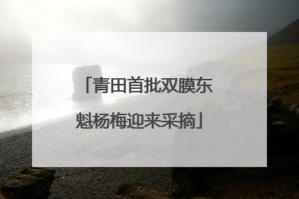 青田首批双膜东魁杨梅迎来采摘